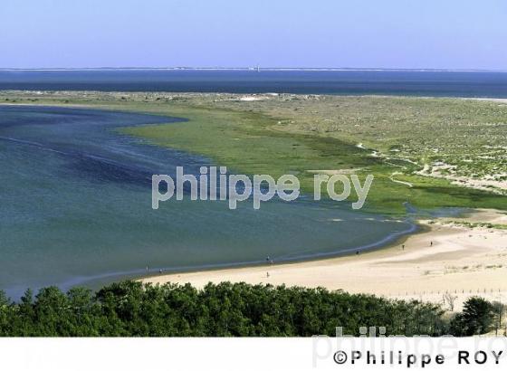 La Palmyre - Charente Maritime (17F00202.jpg)