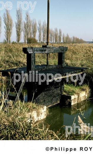 Brouage - Charente Maritime (17F00525.jpg)