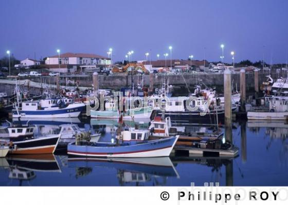 Ile d' Olron - Charente Maritime (17F00726.jpg)