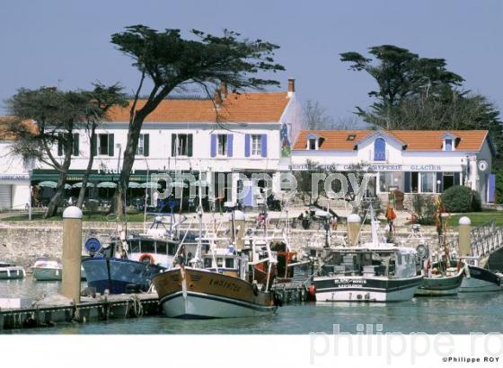 Ile d' Olron - Charente Maritime (17F00732.jpg)