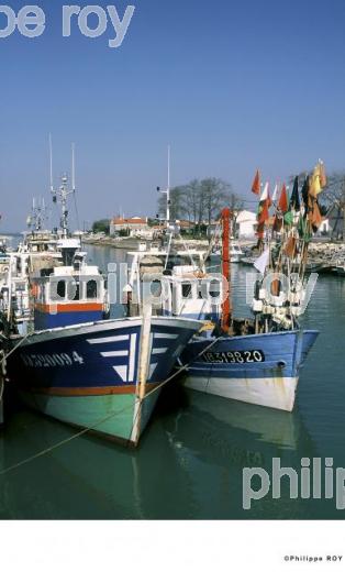 Ile d' Olron - Charente Maritime (17F00736.jpg)
