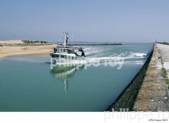 Cte Atlantique - Charente Maritime (17F00804.jpg)