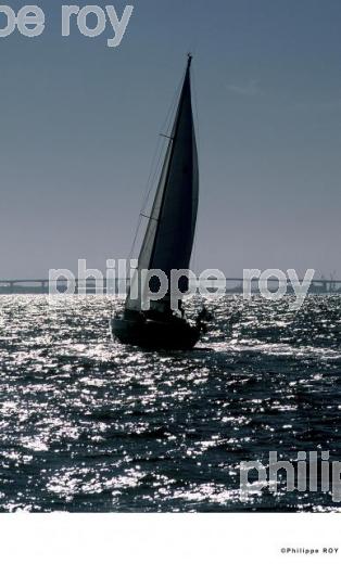 Ile d' Olron - Charente Maritime (17F00832.jpg)