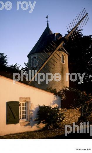 Ile de R - Charente Maritime (17F00936.jpg)