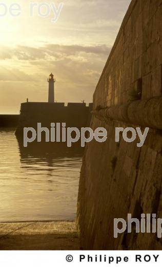 Ile de R - Charente Maritime (17F01006.jpg)