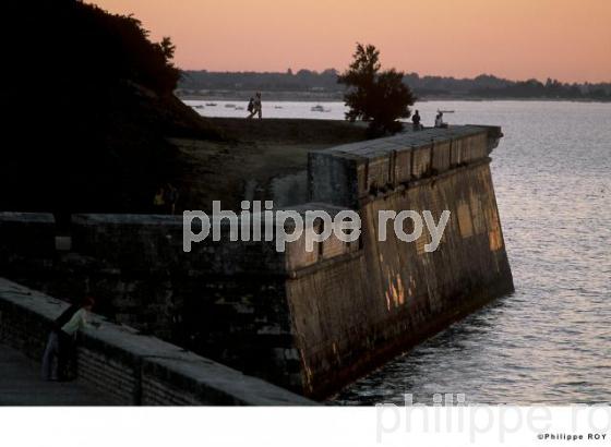 Ile de R - Charente Maritime (17F01007.jpg)