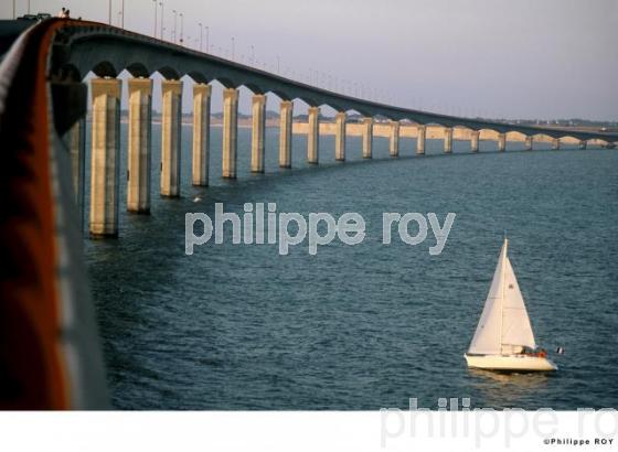 Ile de R - Charente Maritime (17F01019.jpg)