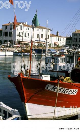 Ile de R - Charente Maritime (17F01113.jpg)