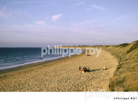 Ile de R - Charente Maritime (17F01120.jpg)