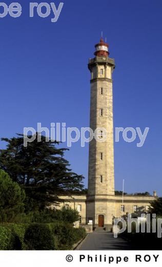 Ile de R - Charente Maritime (17F01121.jpg)