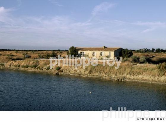 Ile de R - Charente Maritime (17F01129.jpg)