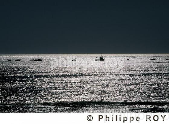 Ile de R - Charente Maritime (17F01134.jpg)