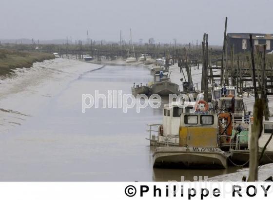 Ostriculture - Charente Maritime (17F01303.jpg)