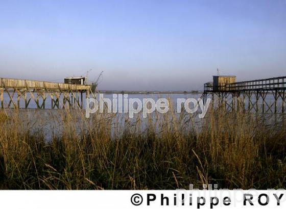 Carrelet - Charente Maritime (17F01308.jpg)