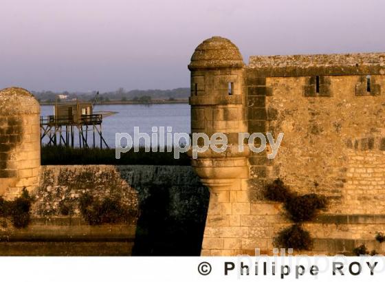 Fort Lupin - Charente Maritime (17F01327.jpg)