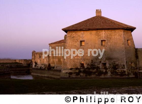 Fort Lupin - Charente Maritime (17F01328.jpg)