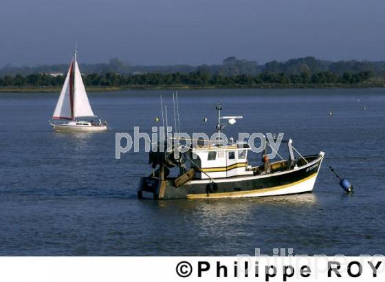 La Charente  - Charente Maritime (17F01409.jpg)