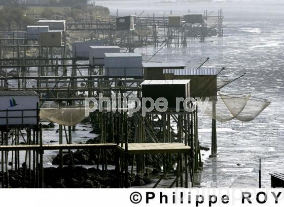 Carrelet - Charente Maritime (17F01413.jpg)