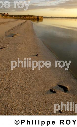 Fouras - Charente Maritime (17F01725.jpg)
