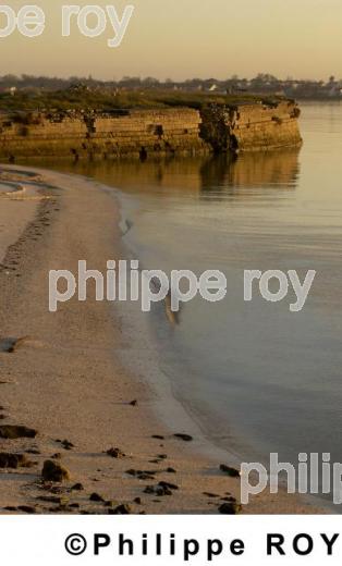 Fouras - Charente Maritime (17F01726.jpg)