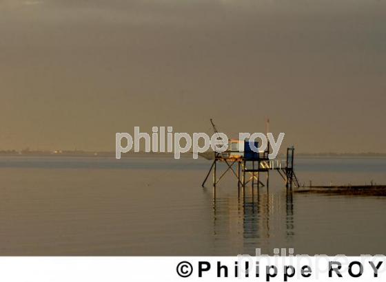 Carrelet - Charente Maritime (17F01729.jpg)