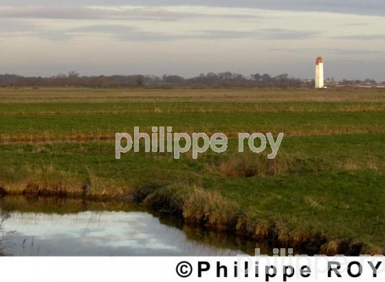 Fouras - Charente Maritime (17F01732.jpg)
