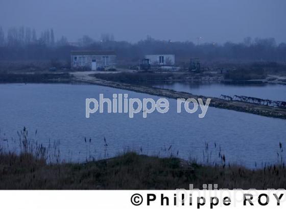 Cte Atlantique - Charente Maritime (17F01918.jpg)