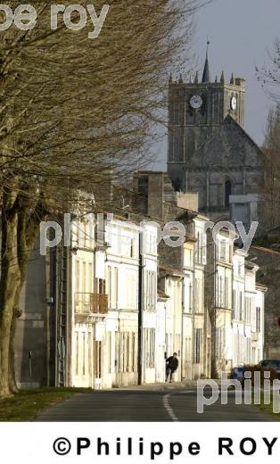 Saint Savinien - Charente Maritime (17F01936.jpg)