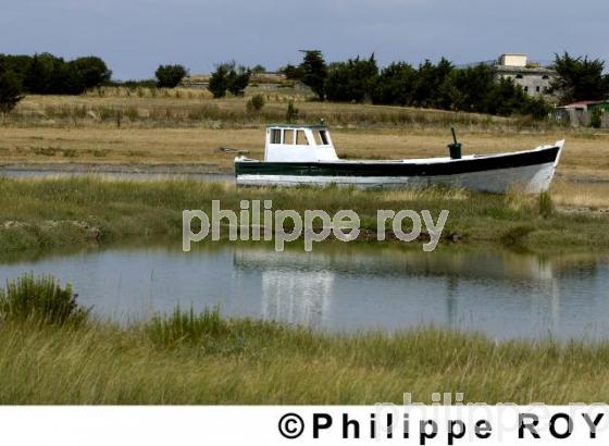 Ile Madame - Charente Maritime (17F02614.jpg)