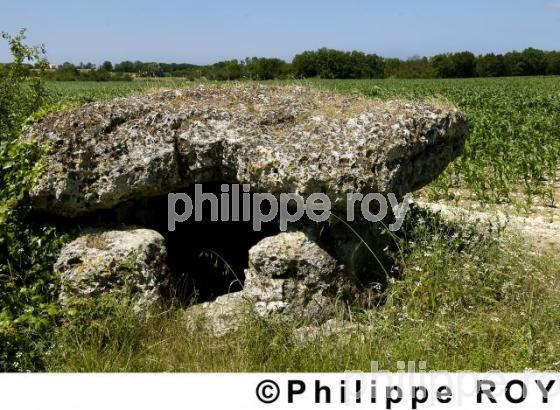 Dolmen - Charente Maritime (17F02728.jpg)