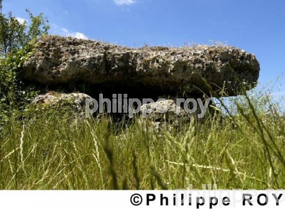 Dolmen - Charente Maritime (17F02731.jpg)