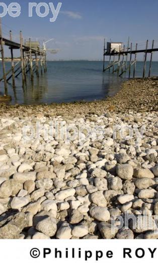Carrelet - Charente Maritime (17F03039.jpg)