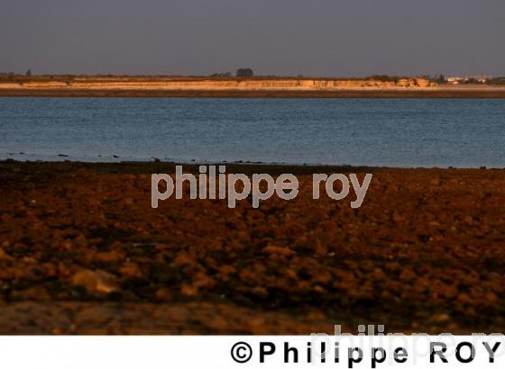 La Rochelle - Charente Maritime (17F03306.jpg)