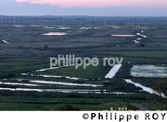 Marais salants - Charente Maritime (17F03809.jpg)