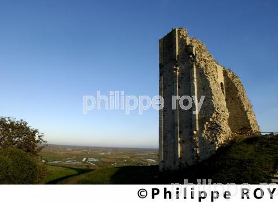 Tour de Broue - Charente Maritime (17F03811.jpg)