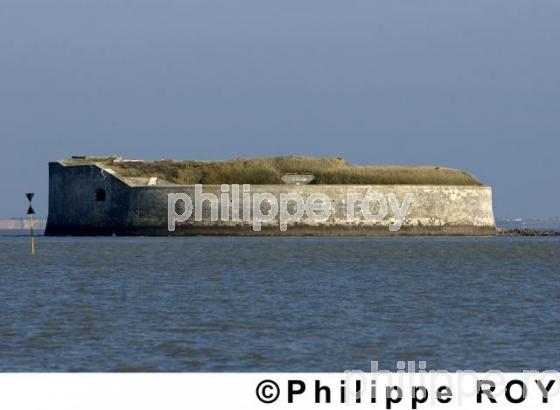 Fort Enet - Charente Maritime (17F04203.jpg)