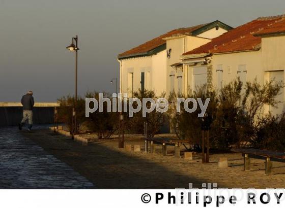 Pertuis d' Antioche - Charente Maritime (17F04513.jpg)