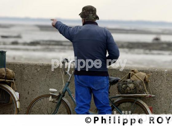Pche  pied - Charente Maritime (17F04702.jpg)
