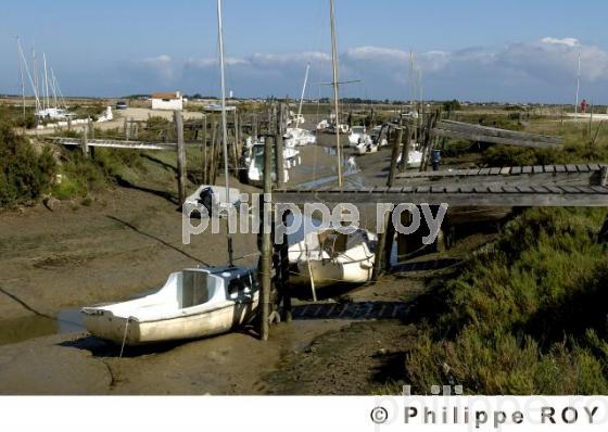 Ile de R - Charente Maritime (17F04726.jpg)