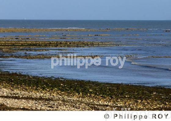 Ile de R - Charente Maritime (17F04732.jpg)