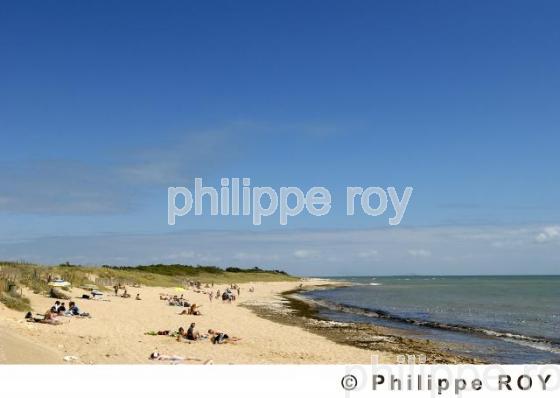Ile de R - Charente Maritime (17F04737.jpg)