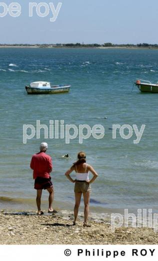 Ile de R - Charente Maritime (17F04814.jpg)