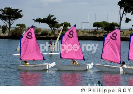 Ecole de voile - Charente Maritime (17F04817.jpg)