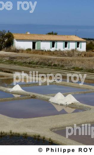 Marais salants - Charente Maritime (17F04834.jpg)