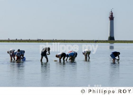 Pche  pied - Charente Maritime (17F05013.jpg)