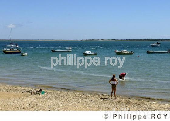 Ile de R - Charente Maritime (17F05112.jpg)