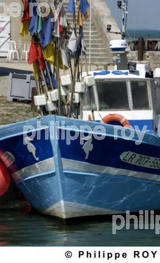 Ile de R - Charente Maritime (17F05128.jpg)