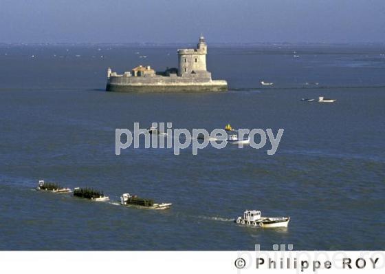 Fort Louvois - Charente Maritime (17F05213.jpg)