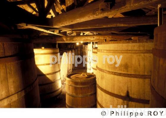 Vin de Charente - Charente MAritime (17F05222.jpg)