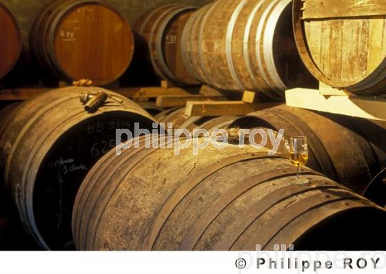 Vin de Charente - Charente MAritime (17F05223.jpg)